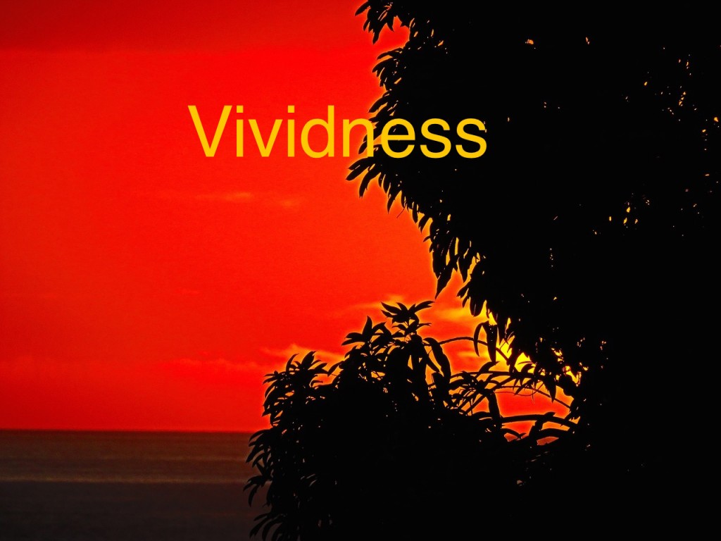 12 Solid Ways to Make Your Writing More Vivid Zoe M. McCarthy